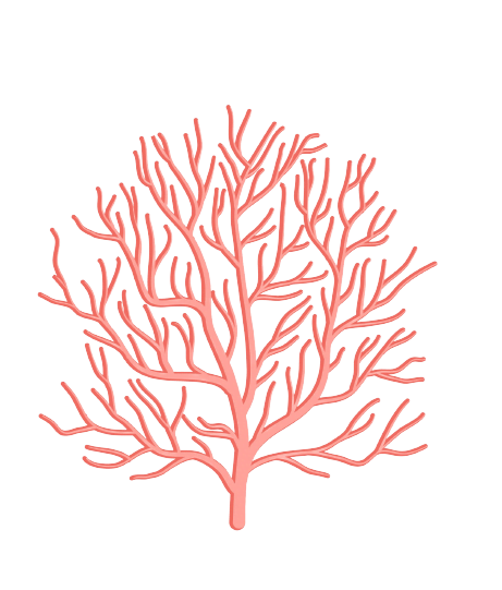 coral-1